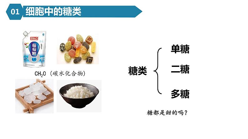 人教版高一生物必修一课件2.3细胞中的糖类和脂质04