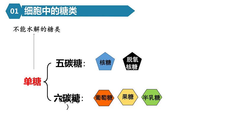 人教版高一生物必修一课件2.3细胞中的糖类和脂质06