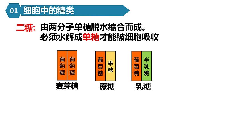 人教版高一生物必修一课件2.3细胞中的糖类和脂质07