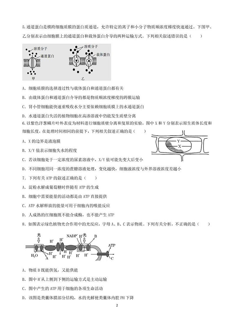 2023扬州宝应县高三上学期期初检测试题生物PDF版含答案（可编辑）02