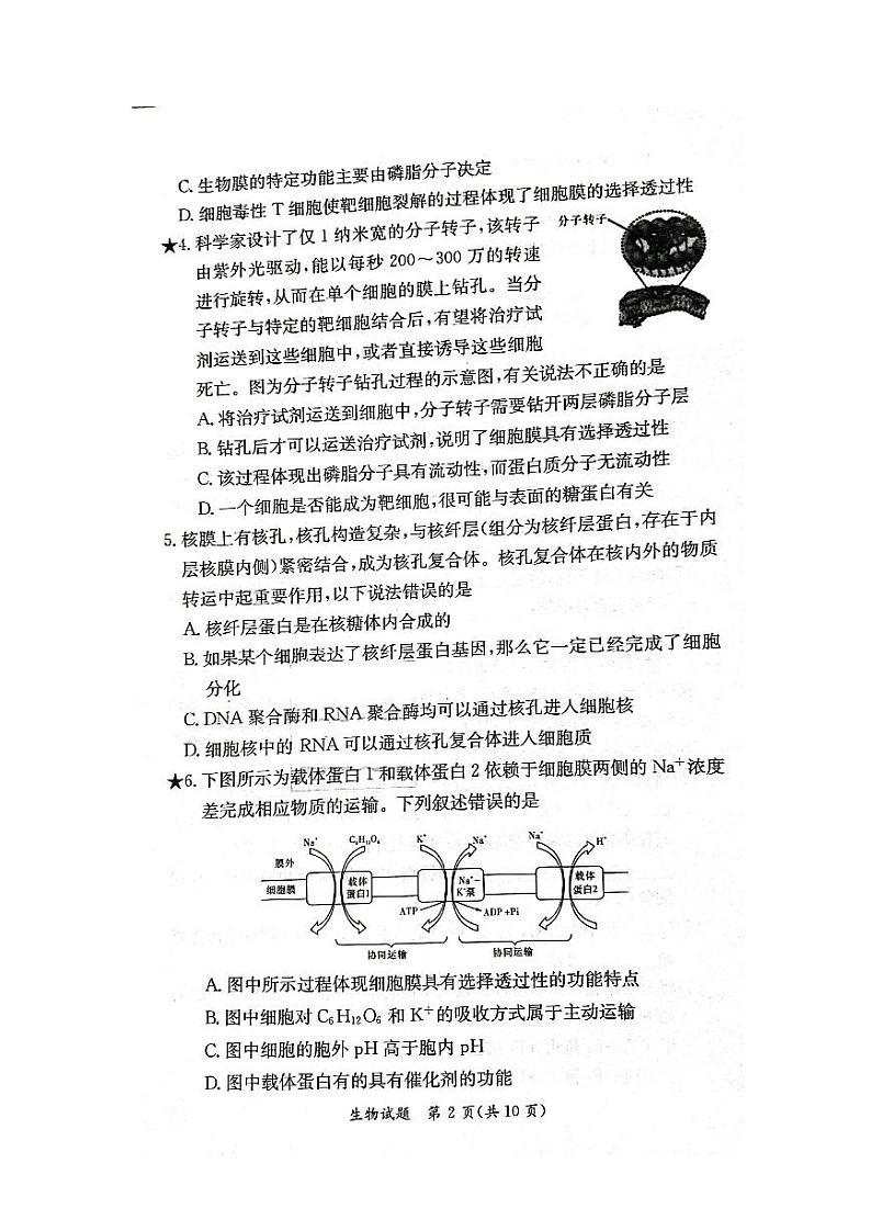 2023湖南省部分学校教育联盟高三上学期入学检测生物试卷PDF版含答案02