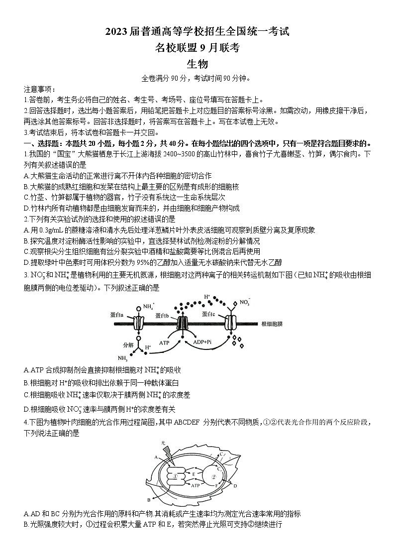 2023河南青桐鸣名校联盟高三上学期9月联考试题生物含解析01