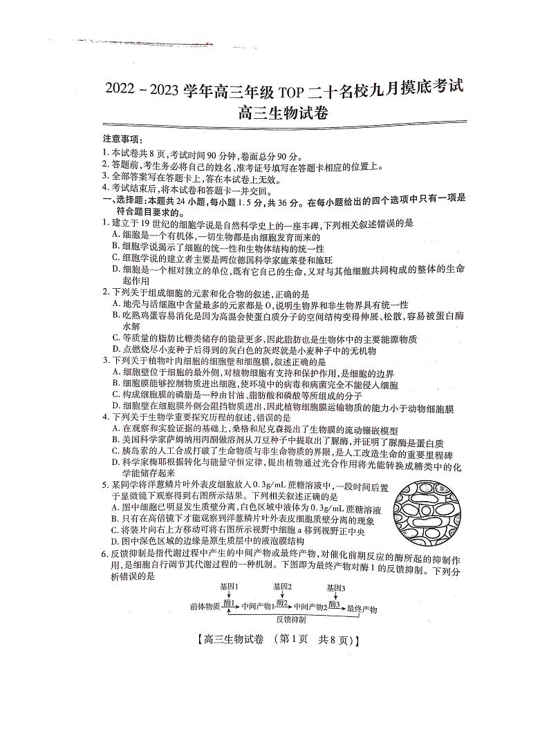 2022-2023学年高三年级TOP二十名校九月摸底考试生物试题PDF版无答案第1页