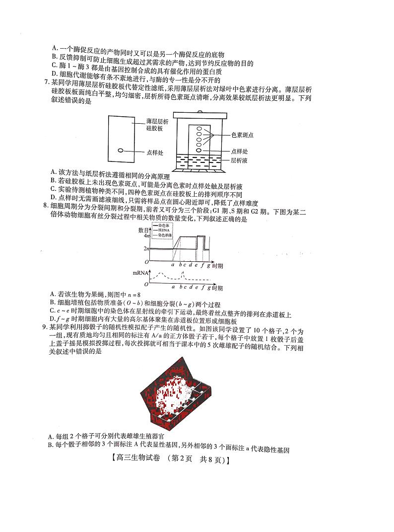 2022-2023学年高三年级TOP二十名校九月摸底考试生物试题PDF版无答案第2页