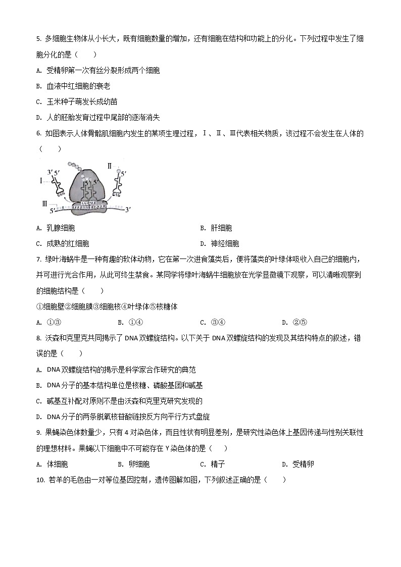 2022汕尾高一下学期期末考试生物含答案02
