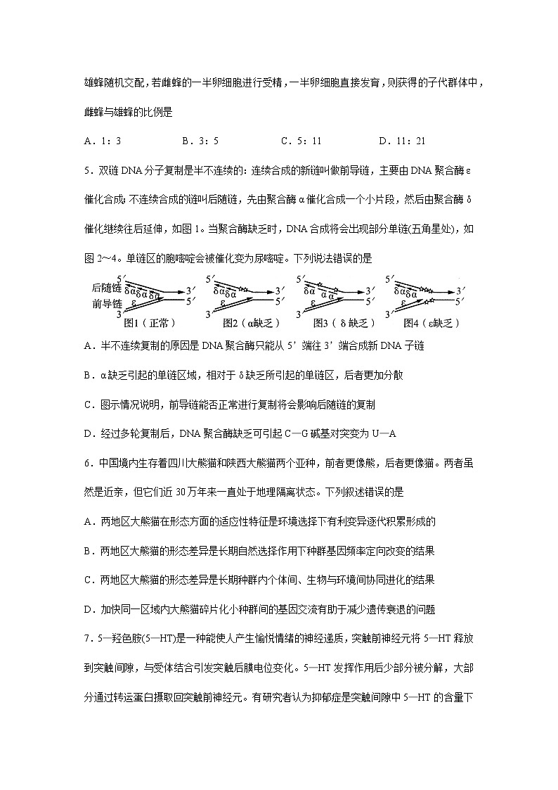 2022日照高三上学期第一次校际联考生物试题含答案03