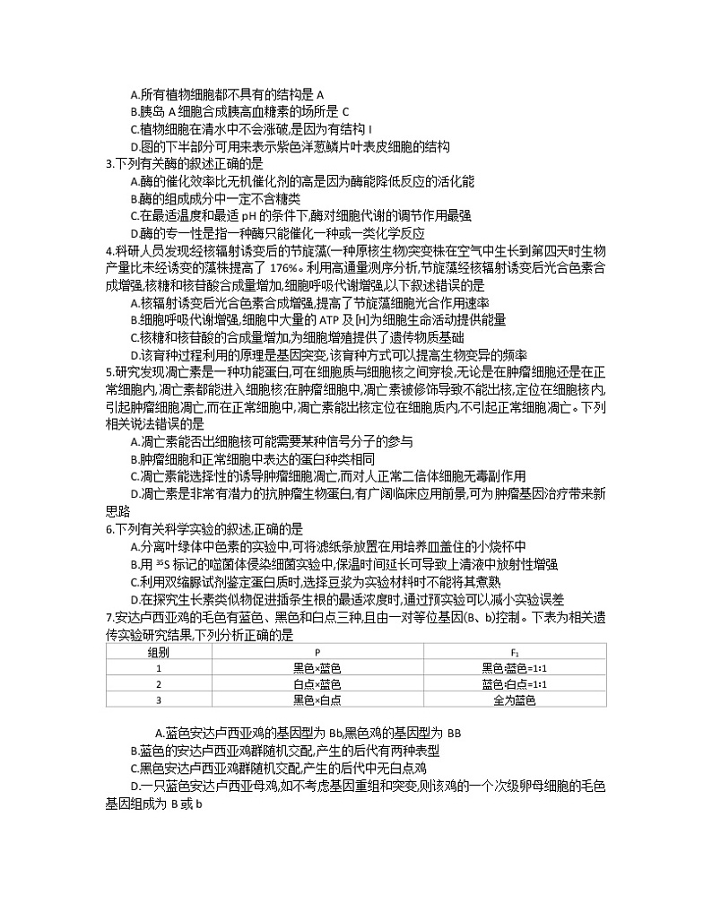 2023江苏省百校联考高三上学期第一次考试生物含解析第2页