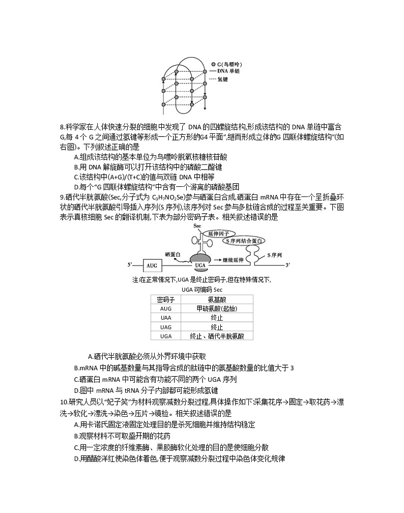 2023江苏省百校联考高三上学期第一次考试生物含解析第3页