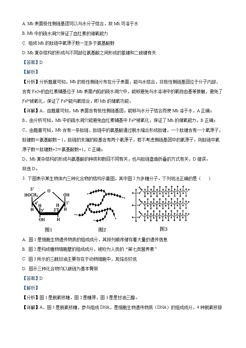 2022潍坊高二下学期期末考试生物试题含解析02