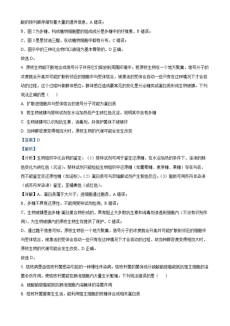 2022潍坊高二下学期期末考试生物试题含解析03