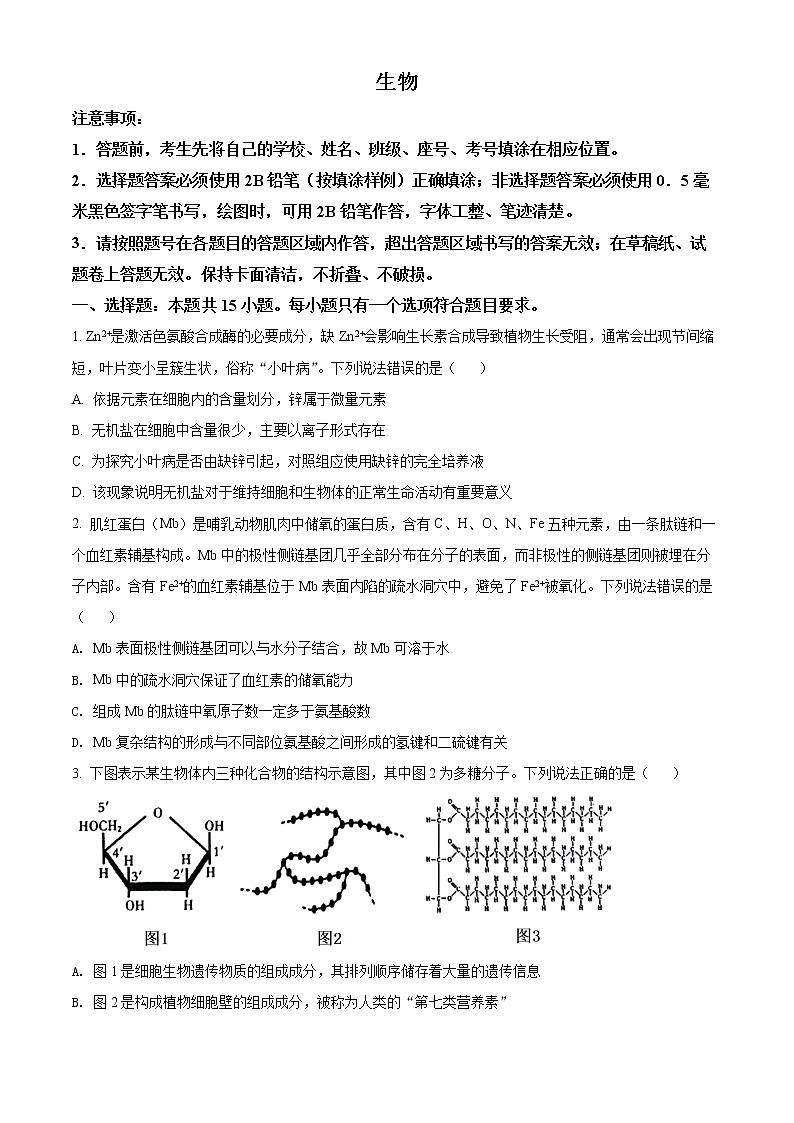 2022潍坊高二下学期期末考试生物试题含解析01
