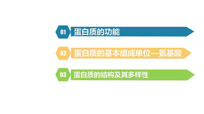 人教版高中生物必修一课件2.4蛋白质是生命活动的主要承担者02