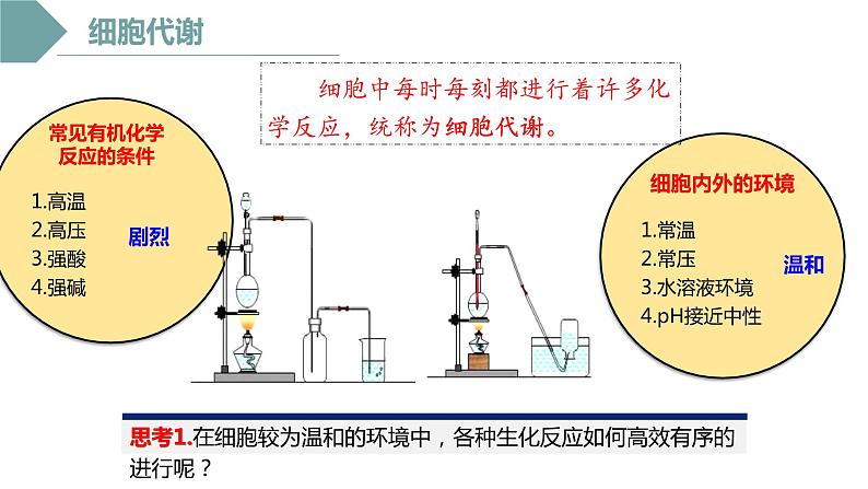 5.1 酶的作用和本质课件2022-2023学年高一上学期生物人教版必修1第6页