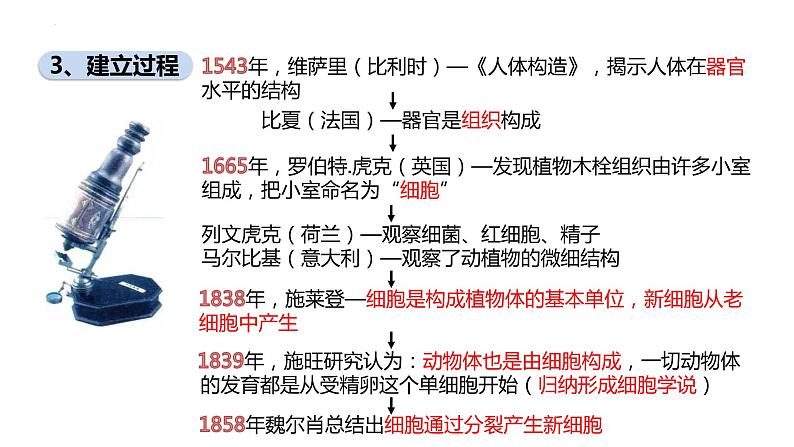 1.1细胞是生命活动的基本单位课件2022-2023学年高一上学期生物人教版必修1第4页