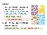 1.2 细胞的多样性和统一性课件2022-2023学年高一上学期生物人教版必修1