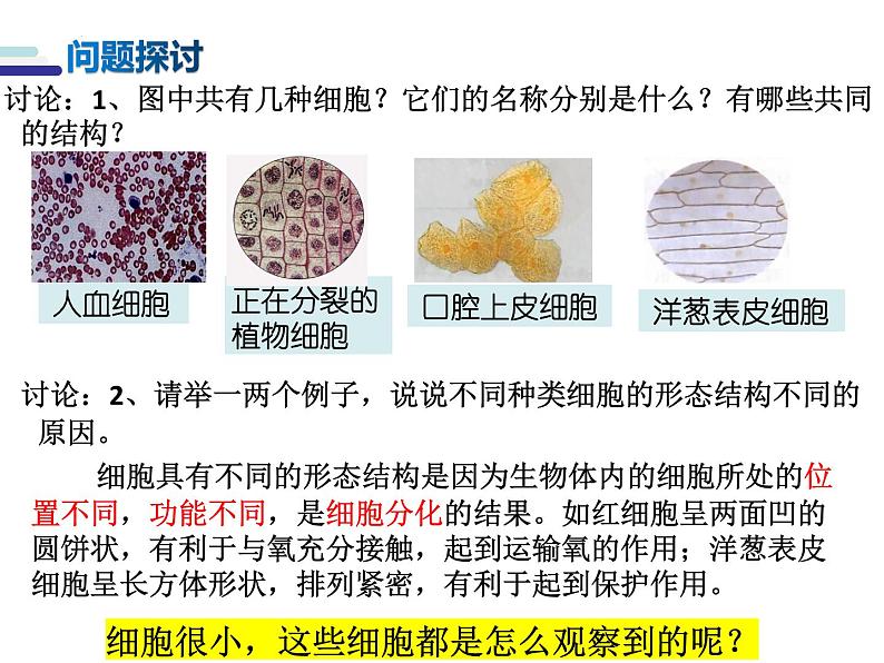 1.2细胞的多样性和统一性 2课时 课件2022-2023学年高一上学期生物人教版必修103