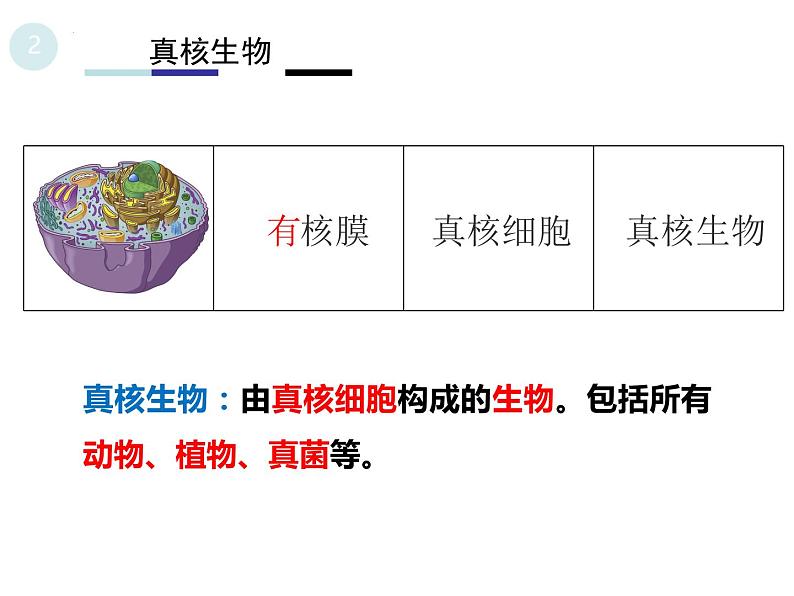 1.2细胞的多样性和统一性 2课时 课件2022-2023学年高一上学期生物人教版必修105