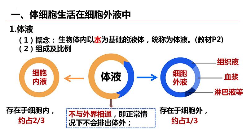 1.1细胞生活的环境  课件  2022——2023学年高二上学期生物人教版选择性必修1第6页