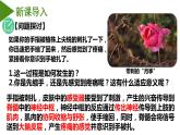 2.2神经调节的基本方式 课件-2022-2023学年高二上学期生物人教版（2019）选择性必修1