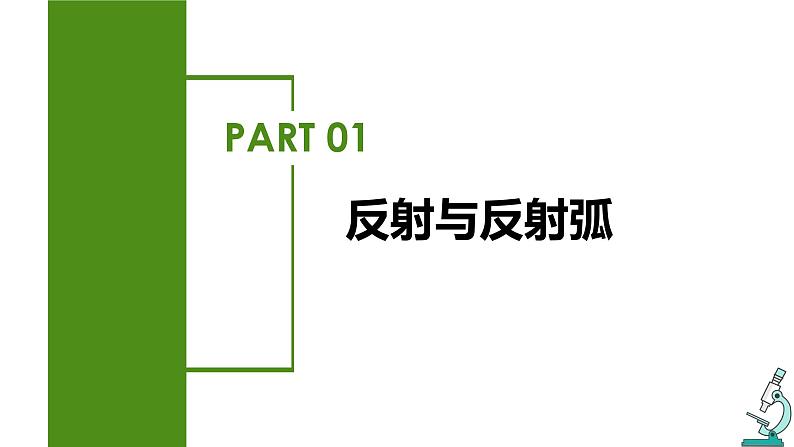 2.2神经调节的基本方式 课件-2022-2023学年高二上学期生物人教版（2019）选择性必修106