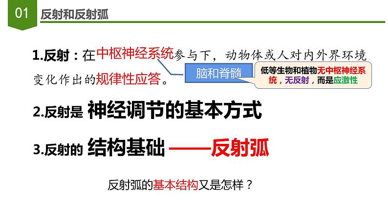 2.2神经调节的基本方式 课件-2022-2023学年高二上学期生物人教版（2019）选择性必修107