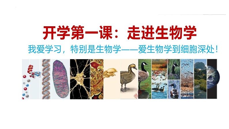 1.1细胞是生命活动的基本单位课件2022-2023学年高一上学期生物人教版必修1 (1)第1页