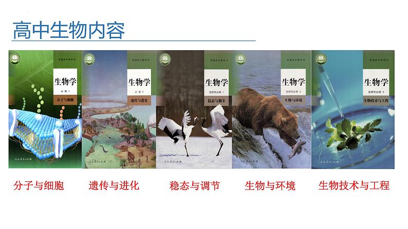 1.1细胞是生命活动的基本单位课件2022-2023学年高一上学期生物人教版必修1 (1)第3页