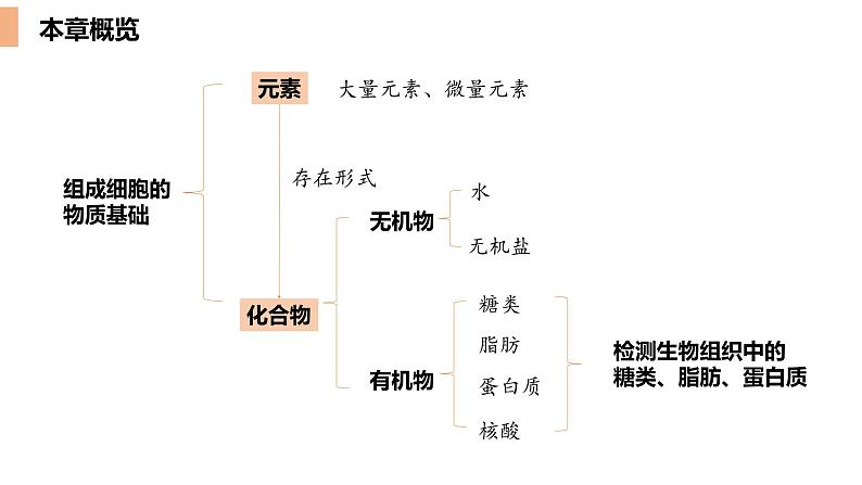 2.1细胞中的元素和化合物课件-2022-2023学年高一上学期生物人教版（2019）必修1第2页