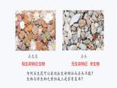 2.1细胞中的元素和化合物课件-2022-2023学年高一上学期生物人教版（2019）必修1