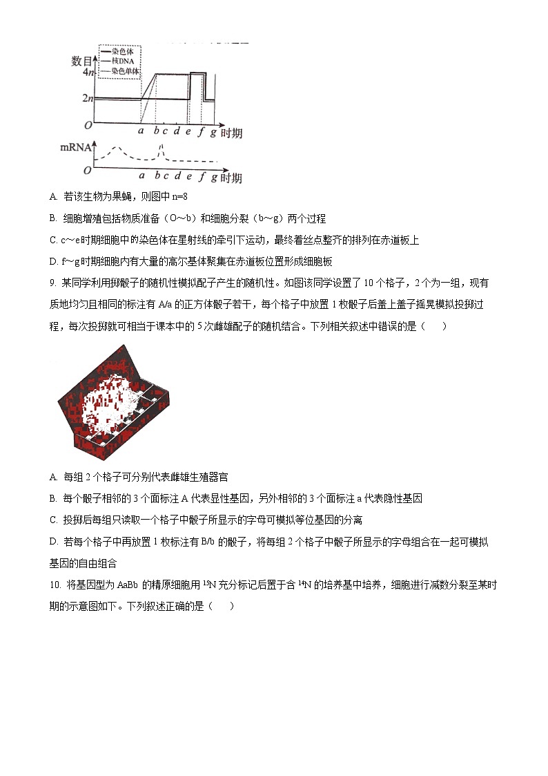 2023河南省TOP二十名校高三9月摸底考试生物试题含答案第3页
