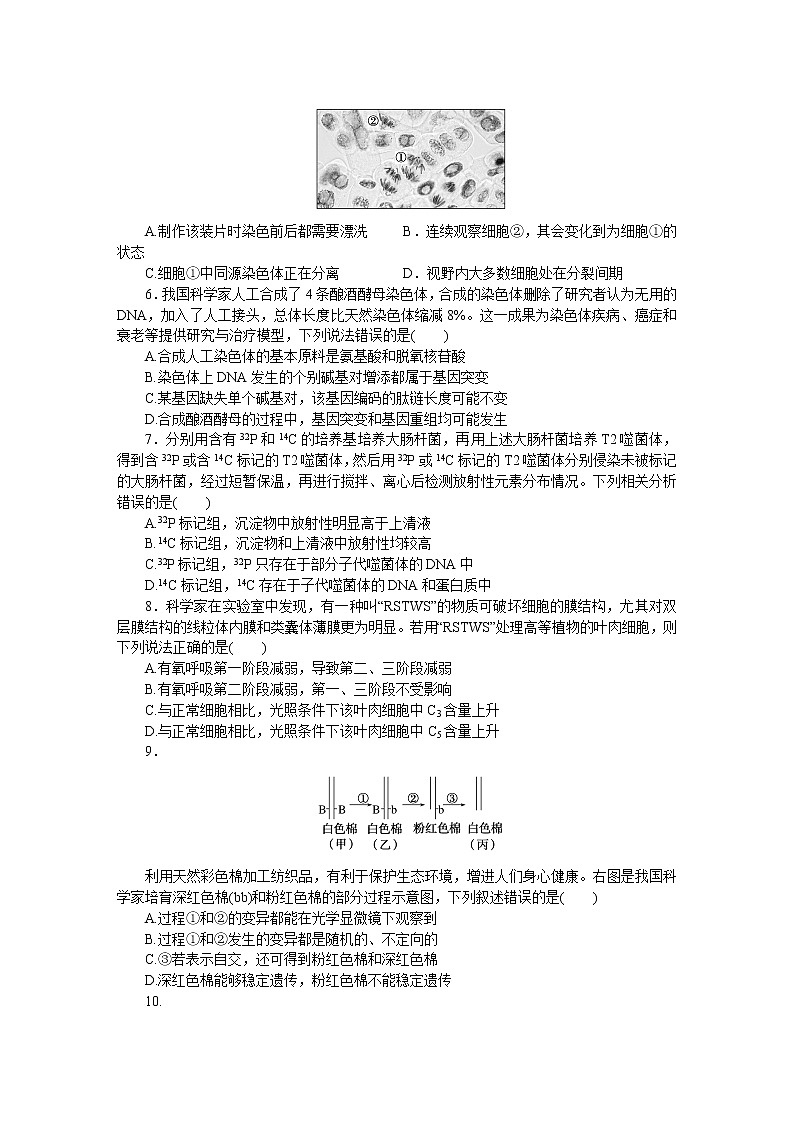 河北版高考生物复习仿真模拟冲刺标准练(四)含答案02