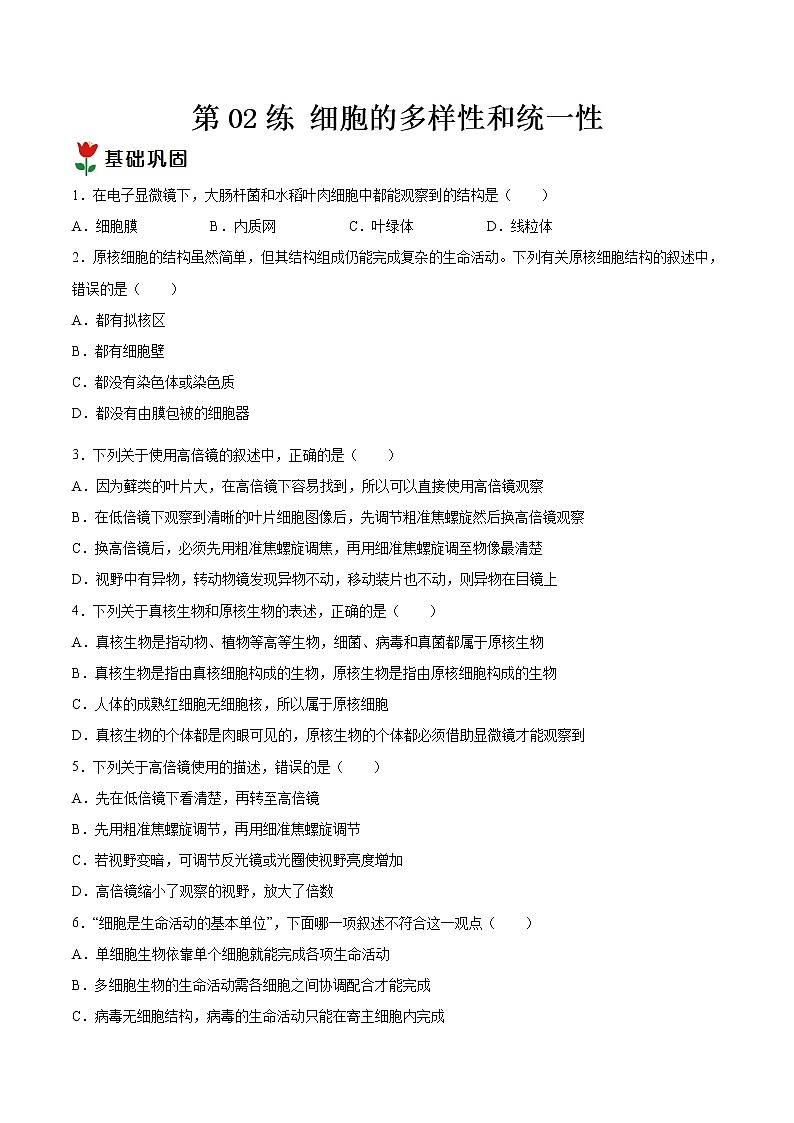 第02练 细胞的多样性和统一性-【每课一练】高一生物同步分层练（人教版2019必修1）01