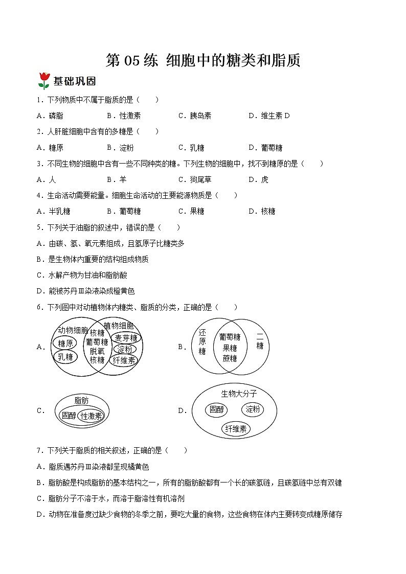 第05练 细胞中的糖类和脂质-【每课一练】高一生物同步分层练（人教版2019必修1）01