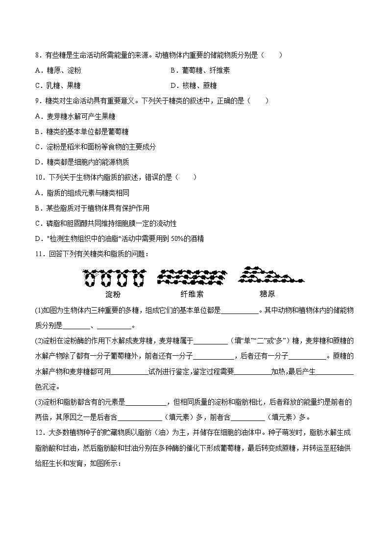 第05练 细胞中的糖类和脂质-【每课一练】高一生物同步分层练（人教版2019必修1）02