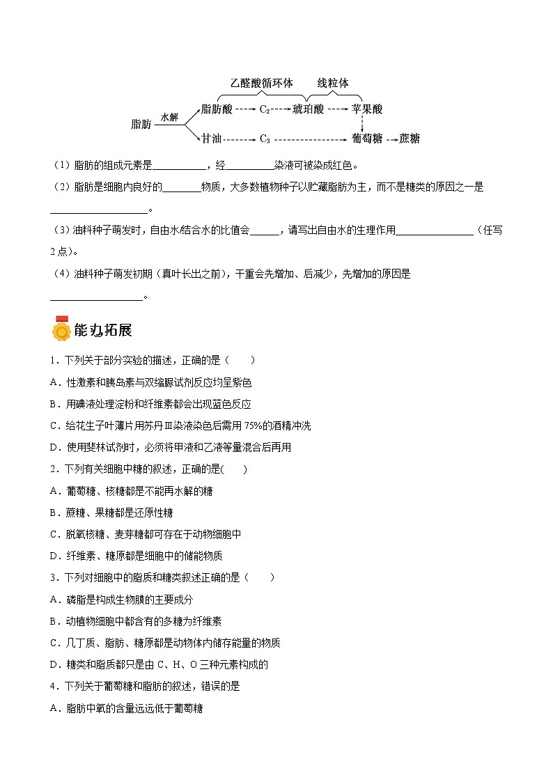 第05练 细胞中的糖类和脂质-【每课一练】高一生物同步分层练（人教版2019必修1）03