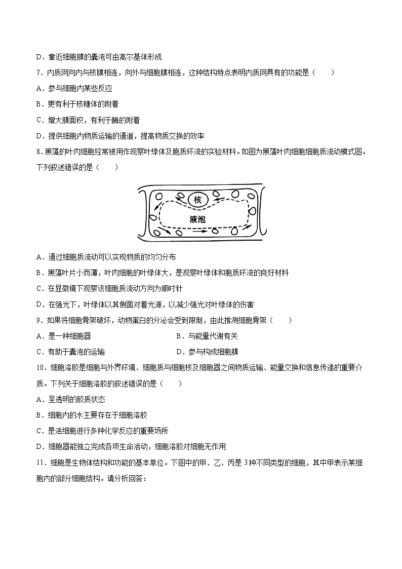第09练 细胞器之间的分工合作-【每课一练】高一生物同步分层练（人教版2019必修第一册）02