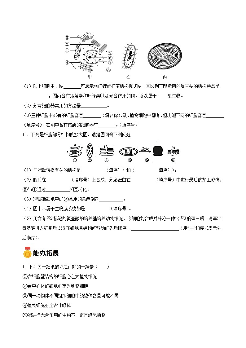 第09练 细胞器之间的分工合作-【每课一练】高一生物同步分层练（人教版2019必修第一册）03