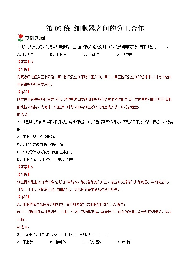 第09练 细胞器之间的分工合作-【每课一练】高一生物同步分层练（人教版2019必修第一册）01