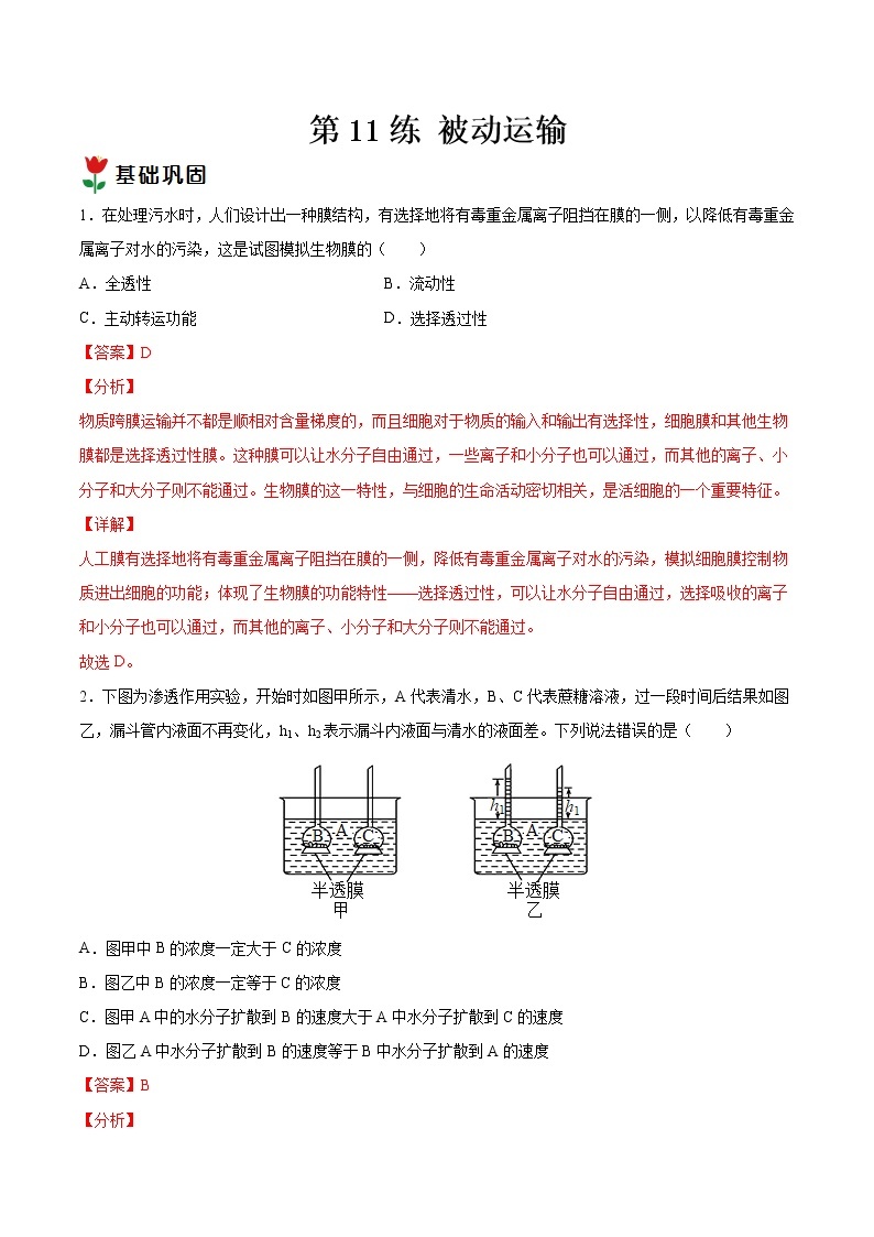 第11练 被动运输-【每课一练】2022-2023学年高一生物同步分层练（人教版2019必修1）01