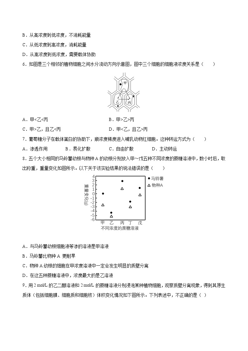 第11练 被动运输-【每课一练】2022-2023学年高一生物同步分层练（人教版2019必修1）02