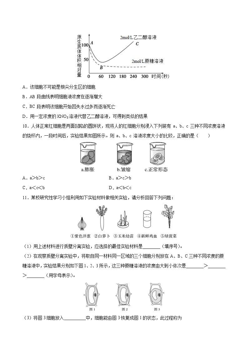 第11练 被动运输-【每课一练】2022-2023学年高一生物同步分层练（人教版2019必修1）03