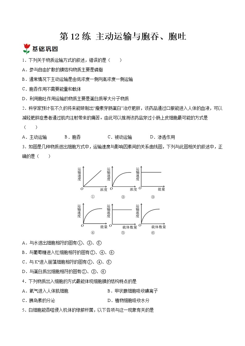 第12练 主动运输与胞吞、胞吐-【每课一练】2022-2023学年高一生物同步分层练（人教版2019必修1）01