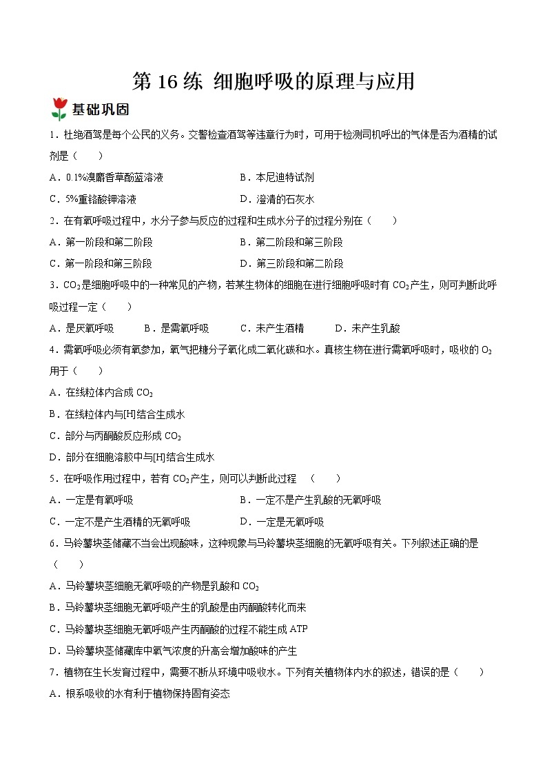 第16练 细胞呼吸的原理与应用-【每课一练】2022-2023学年高一生物同步分层练（人教版2019必修1）01