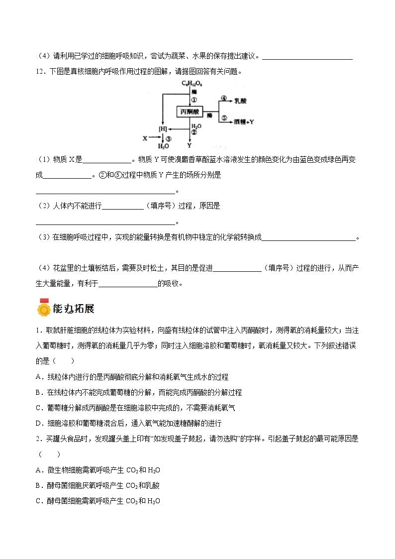 第16练 细胞呼吸的原理与应用-【每课一练】2022-2023学年高一生物同步分层练（人教版2019必修1）03