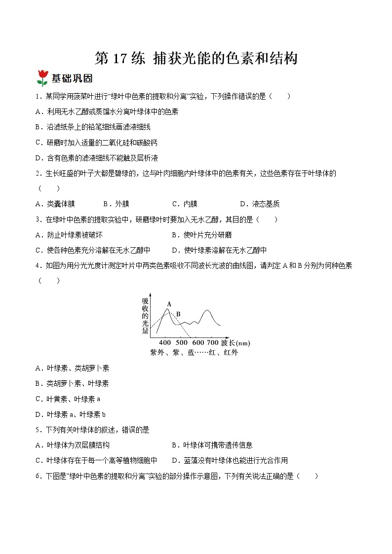 第17练 捕获光能的色素和结构-【每课一练】2022-2023学年高一生物同步分层练（人教版2019必修1）01