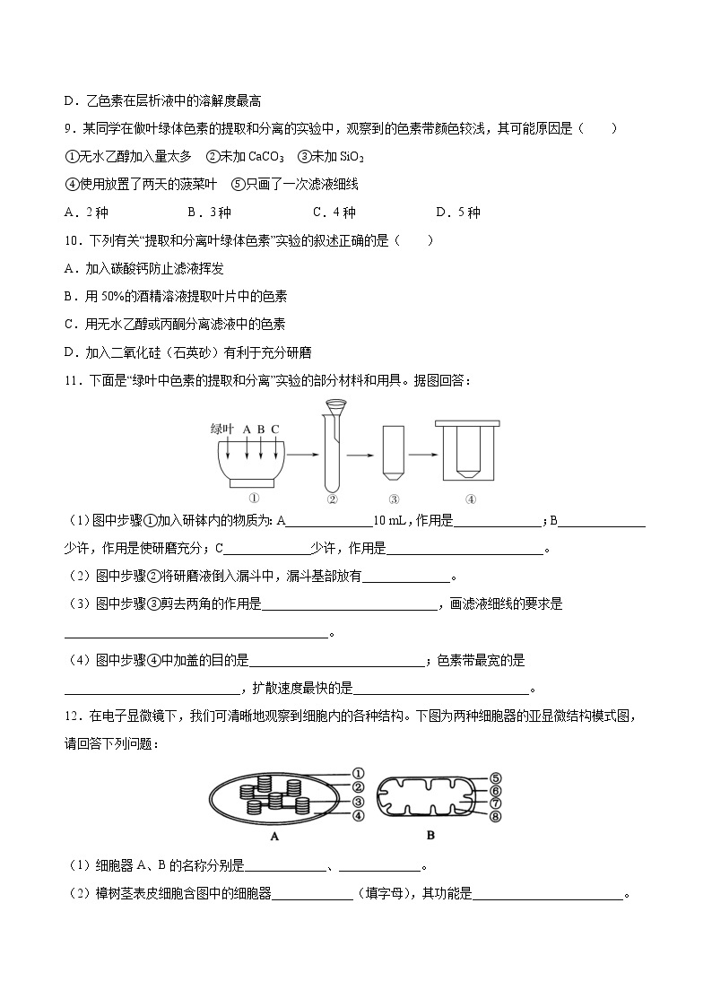 第17练 捕获光能的色素和结构-【每课一练】2022-2023学年高一生物同步分层练（人教版2019必修1）03