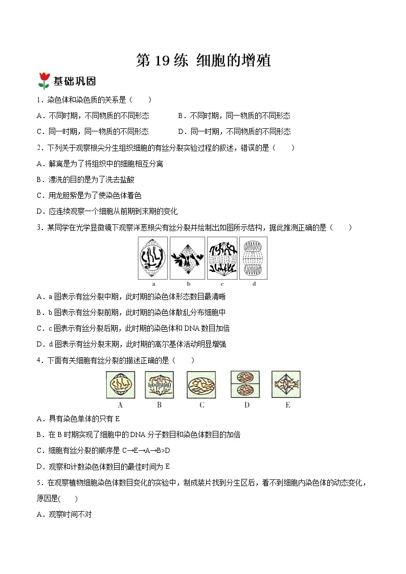 第19练 细胞的增殖-【每课一练】2022-2023学年高一生物同步分层练（人教版2019必修1）01