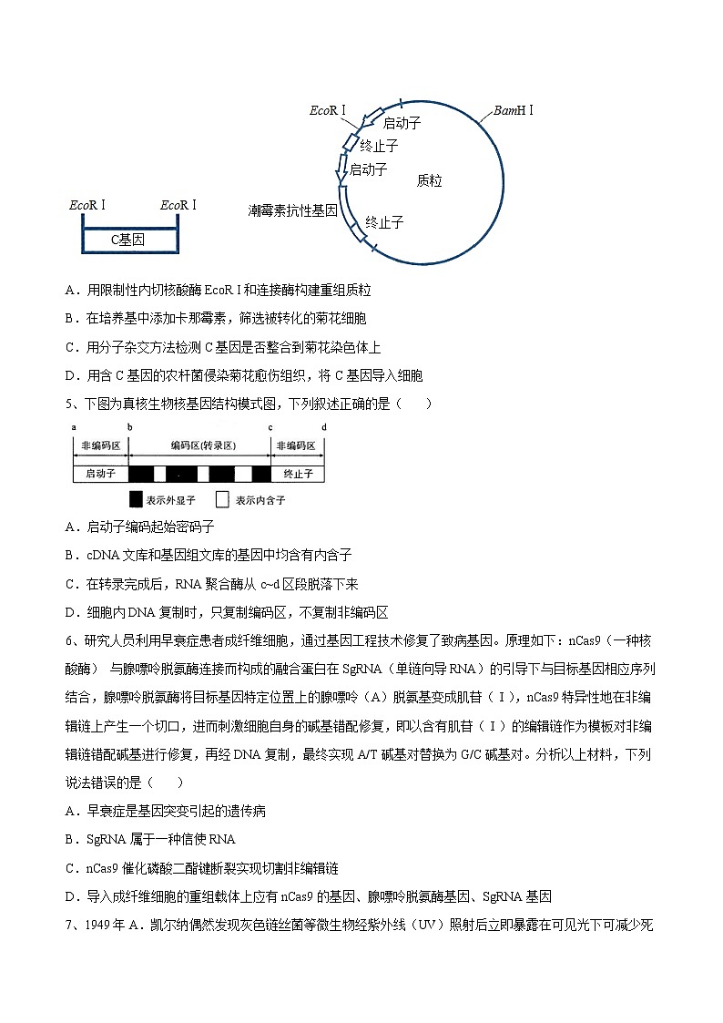 第3章  基因工程（提升卷）-【章末分层卷】2022-2023学年高二生物同步测试卷（人教版2019选择性必修3）02