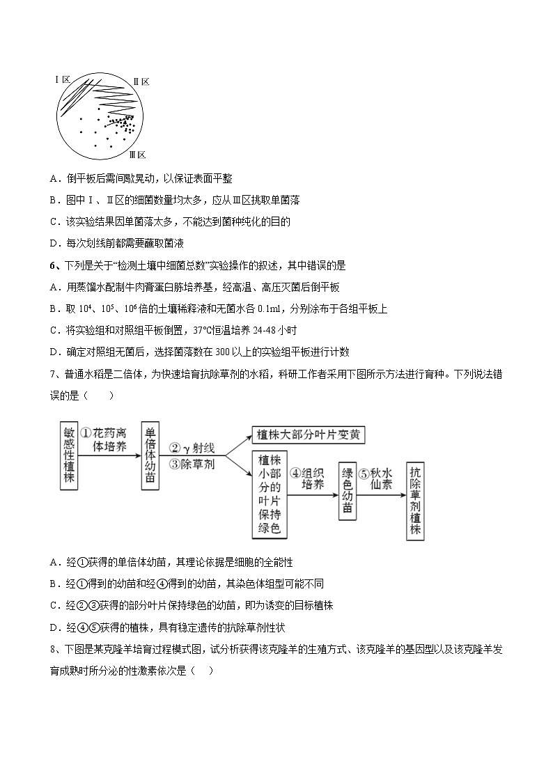 期中测试卷（基础卷）-【章末分层卷】2022-2023学年高二生物同步测试卷（人教版2019选择性必修3）02