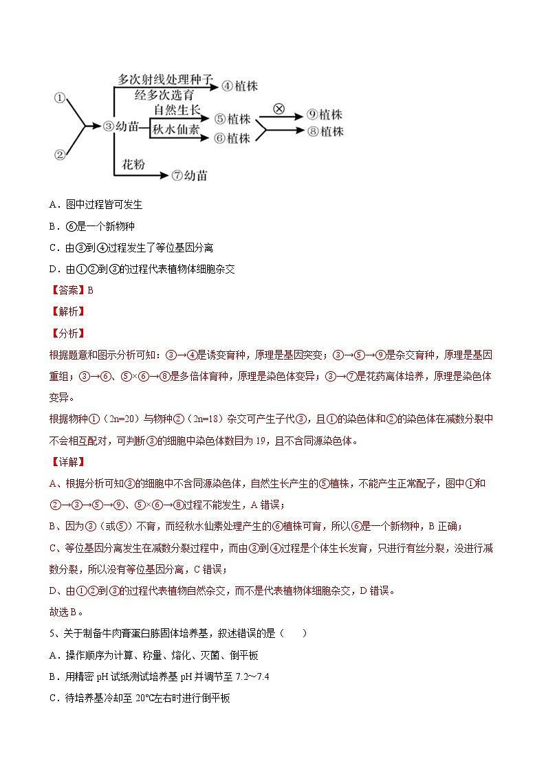 期中测试卷（提升卷）-【章末分层卷】2022-2023学年高二生物同步测试卷（人教版2019选择性必修3）（解析版）第3页
